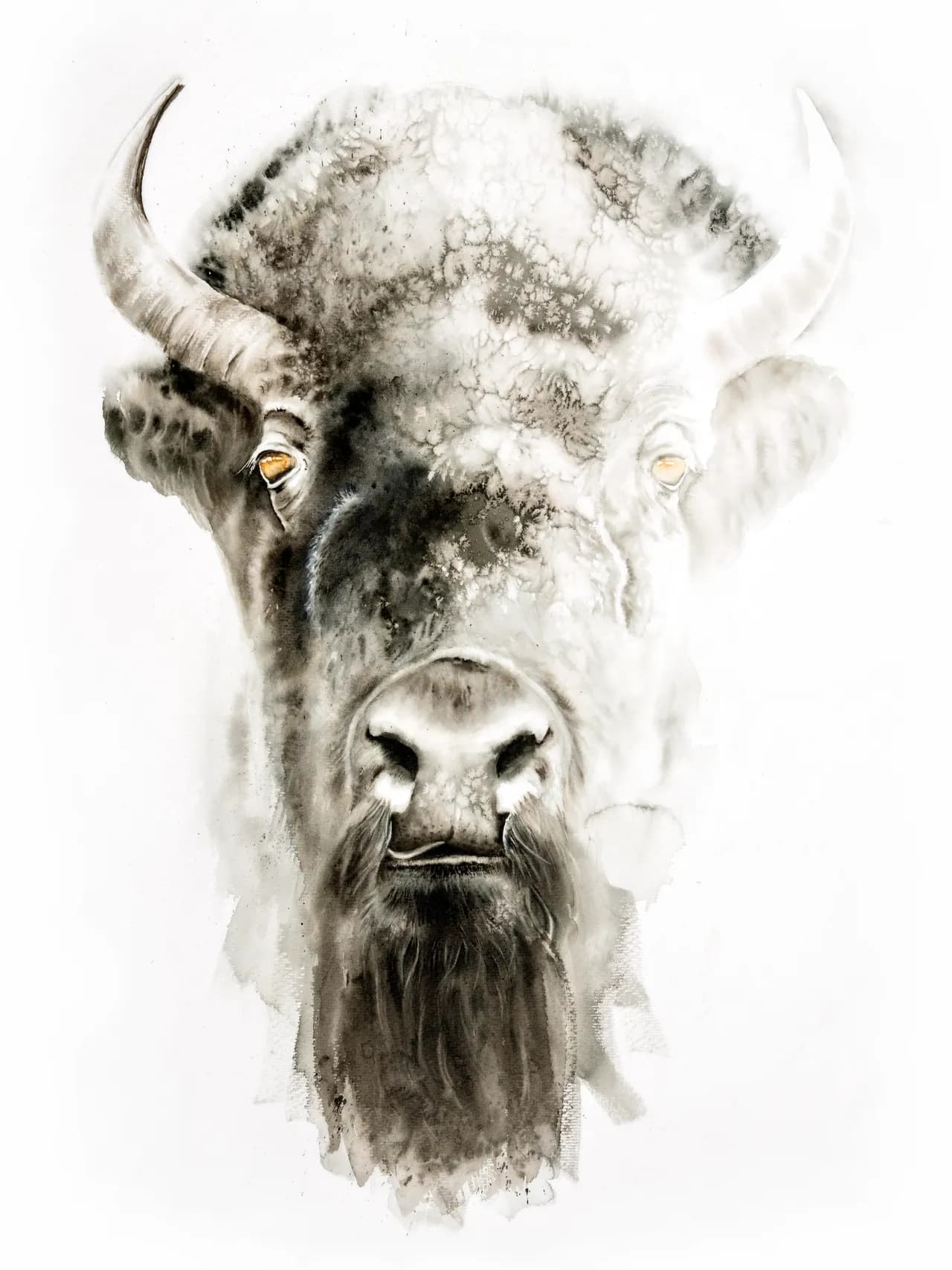 A buffalo watercolor painting in a modern mono chromatic style called Sko by Shayna Larsen, available as original art or giclée print.