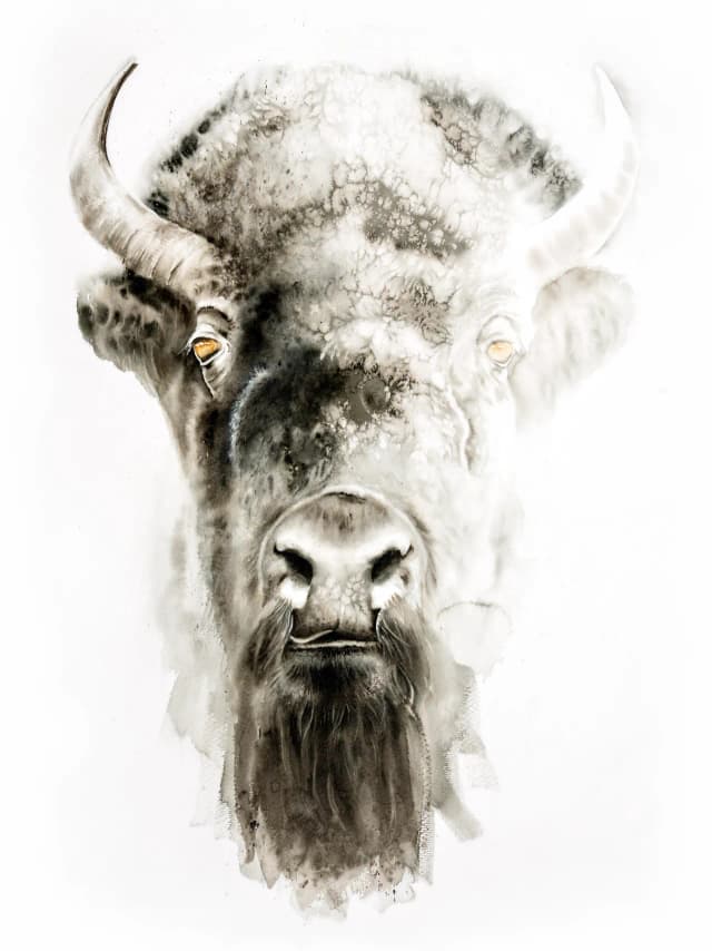 Sko — watercolor by Shayna Larsen