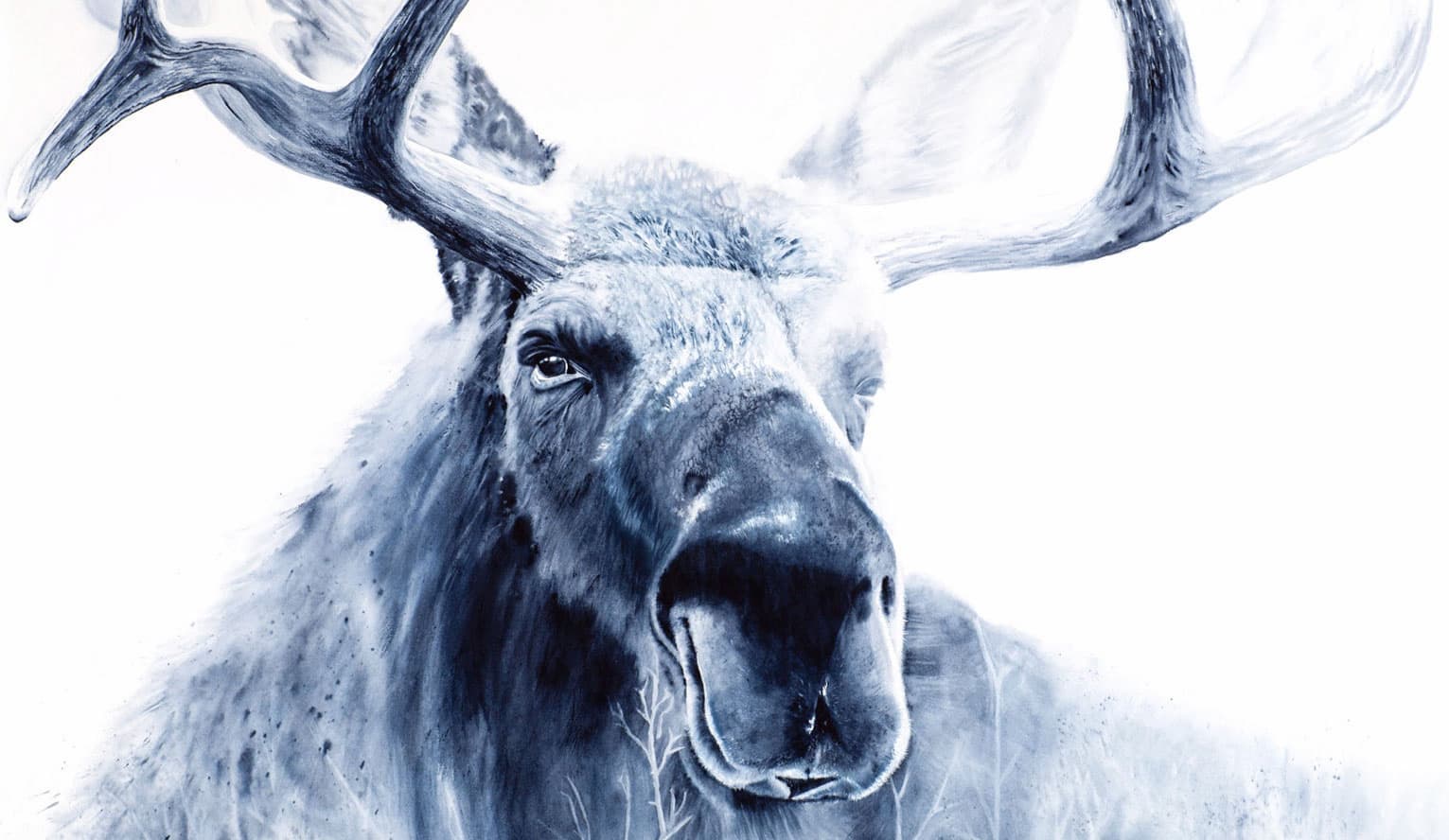 Moose watercolor