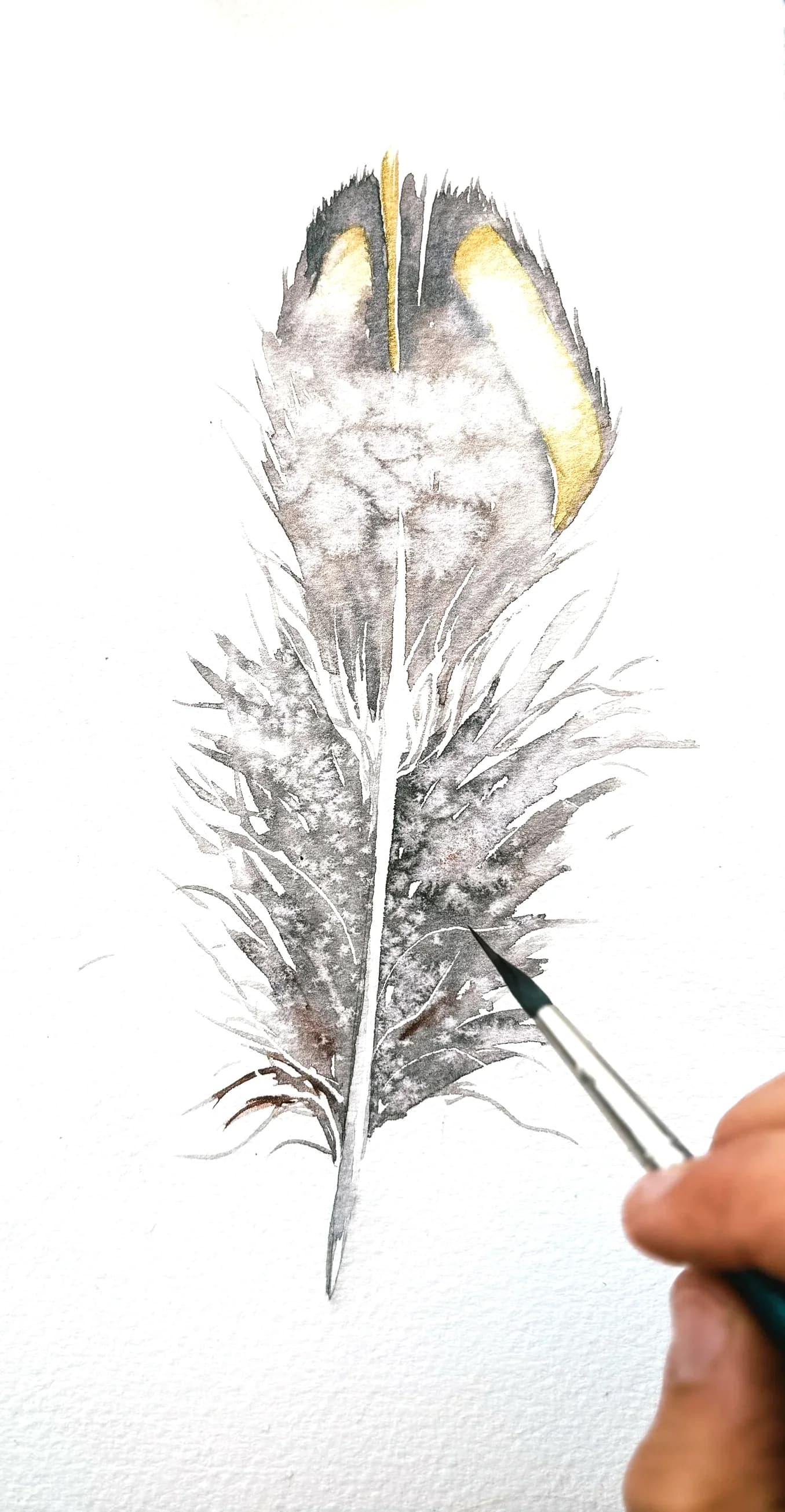 Shayna’s brush on the Quail feather, half painted in grey and ochre watercolor