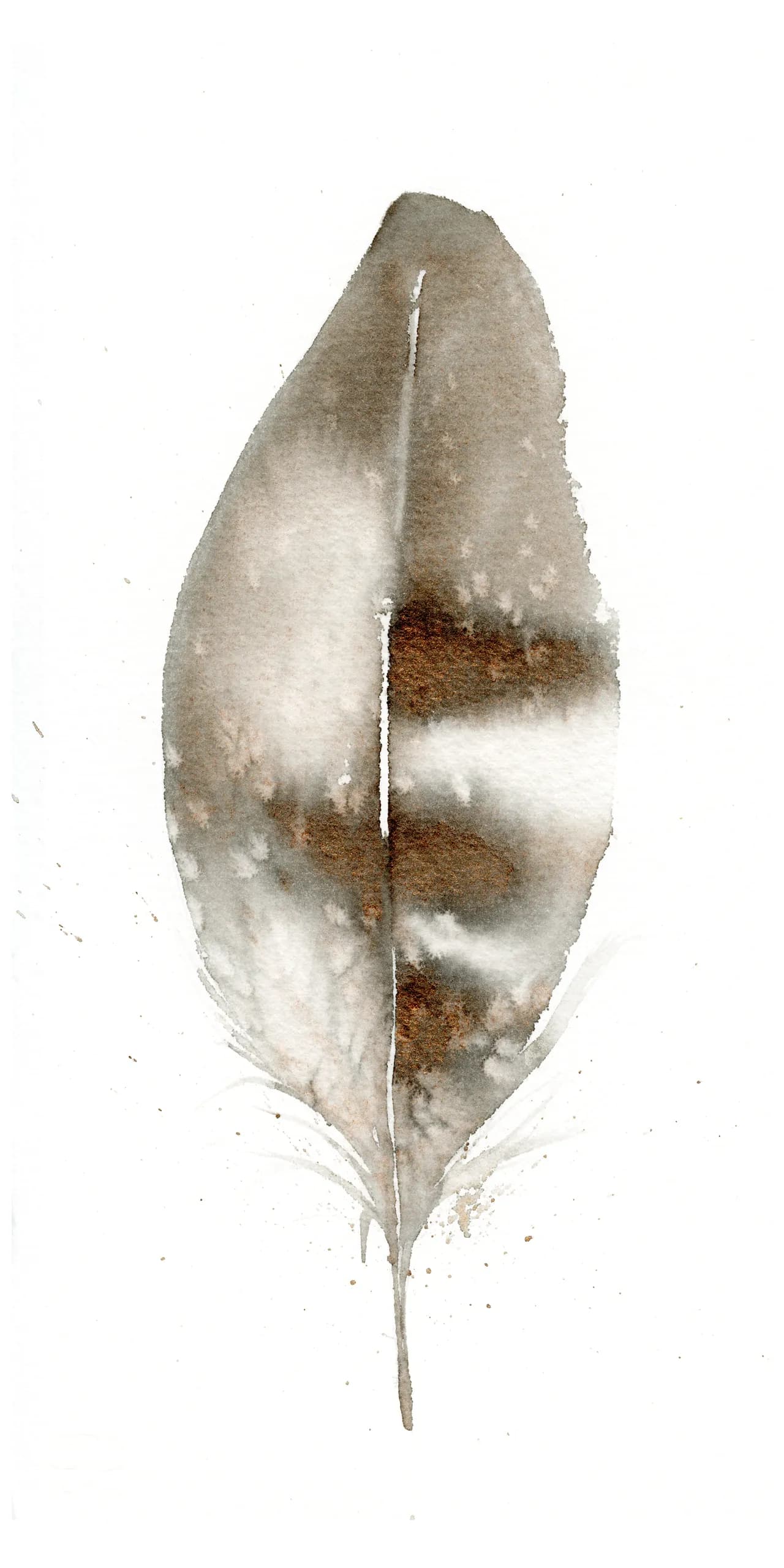 Coopers Owls — watercolor by Shayna Larsen
