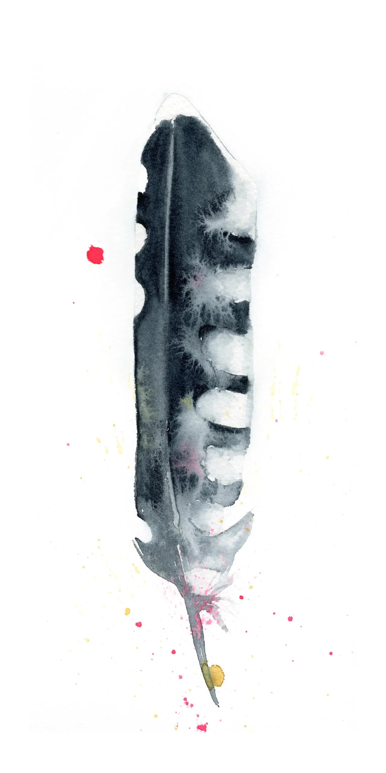 Magpie — watercolor by Shayna Larsen