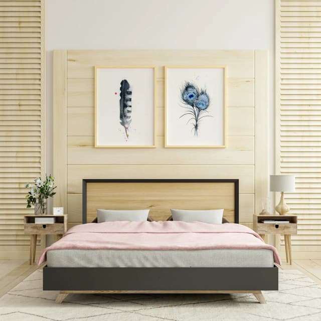 Magpie shown in a room setting