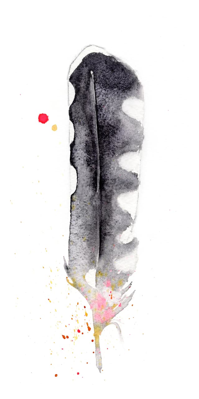 Magpie — watercolor by Shayna Larsen