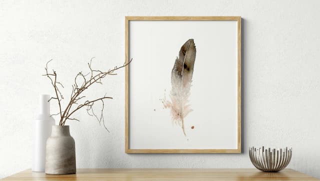 Bald Eagle shown in a room setting