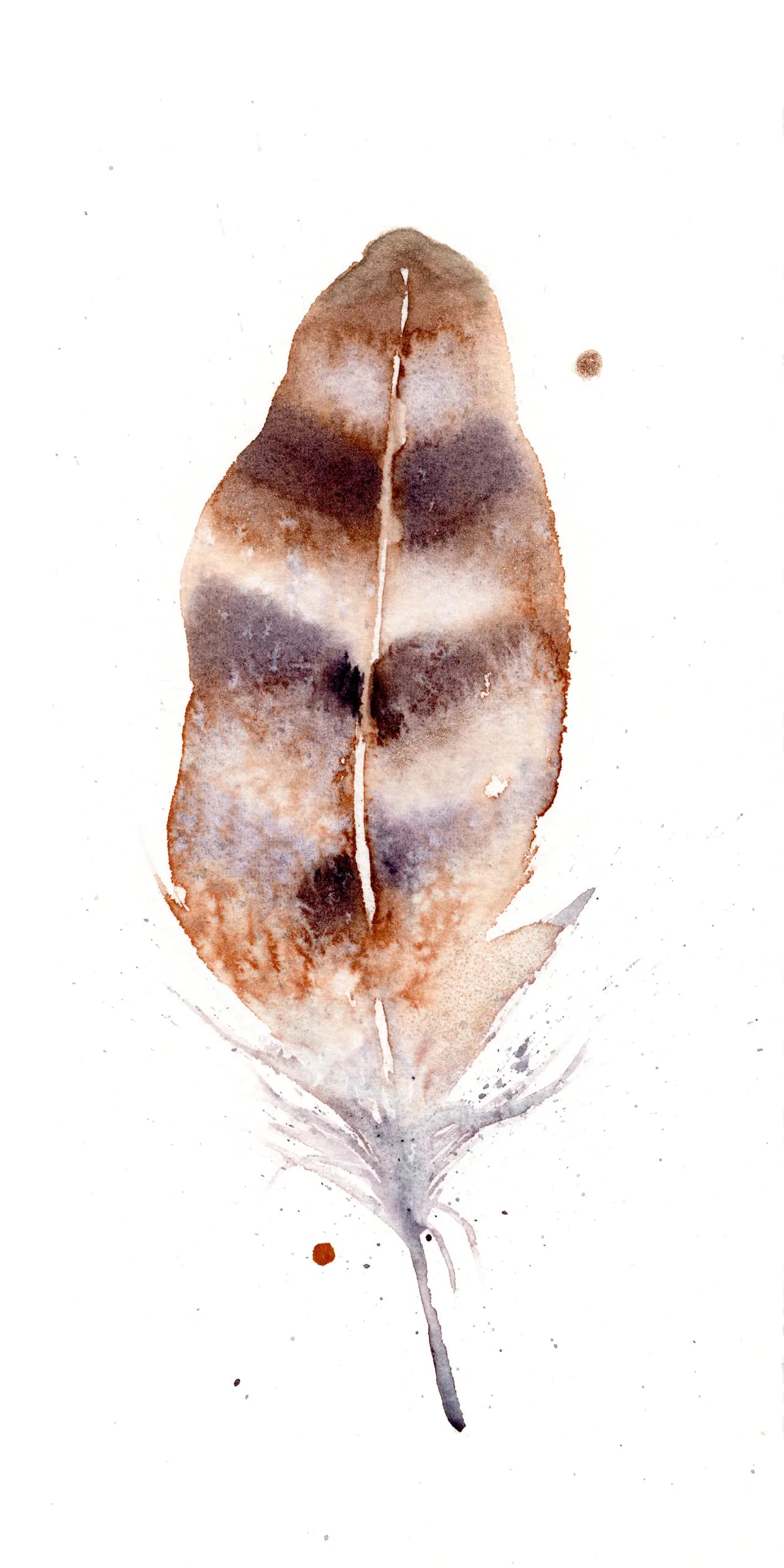 Barn Owl — watercolor by Shayna Larsen