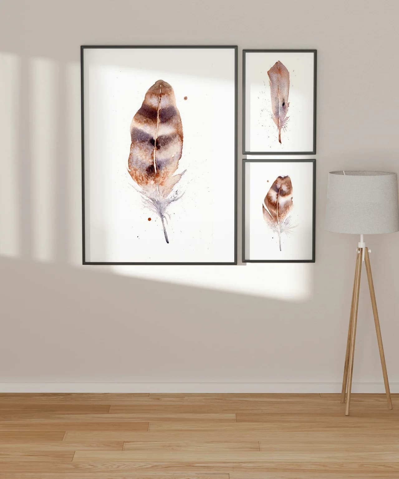 Barn Owl shown in a room setting