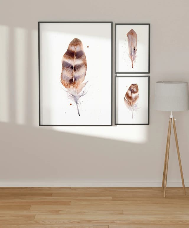 Barn Owl shown in a room setting