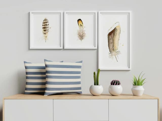 Common Raven shown in a room setting