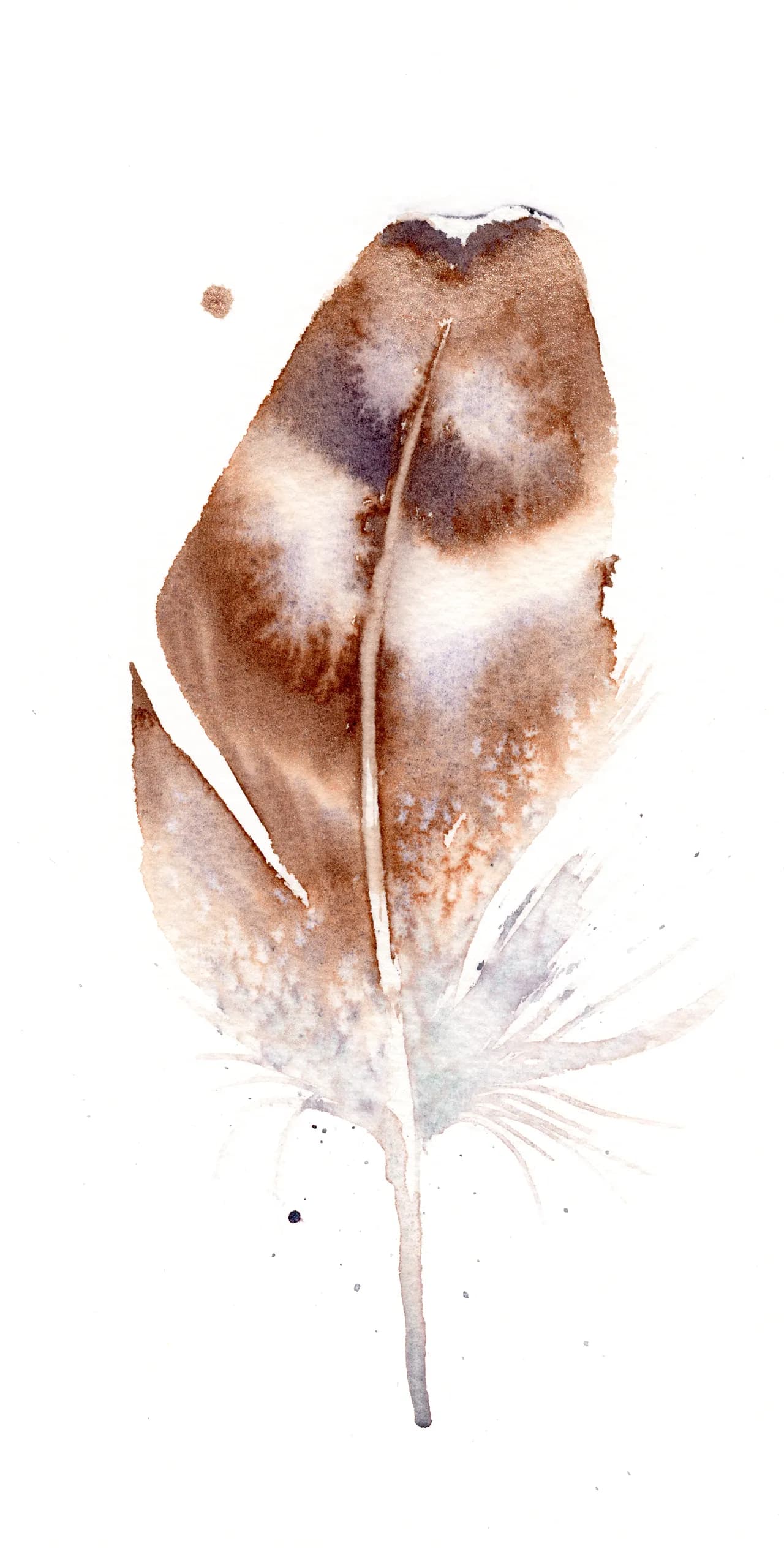 Owl — watercolor by Shayna Larsen