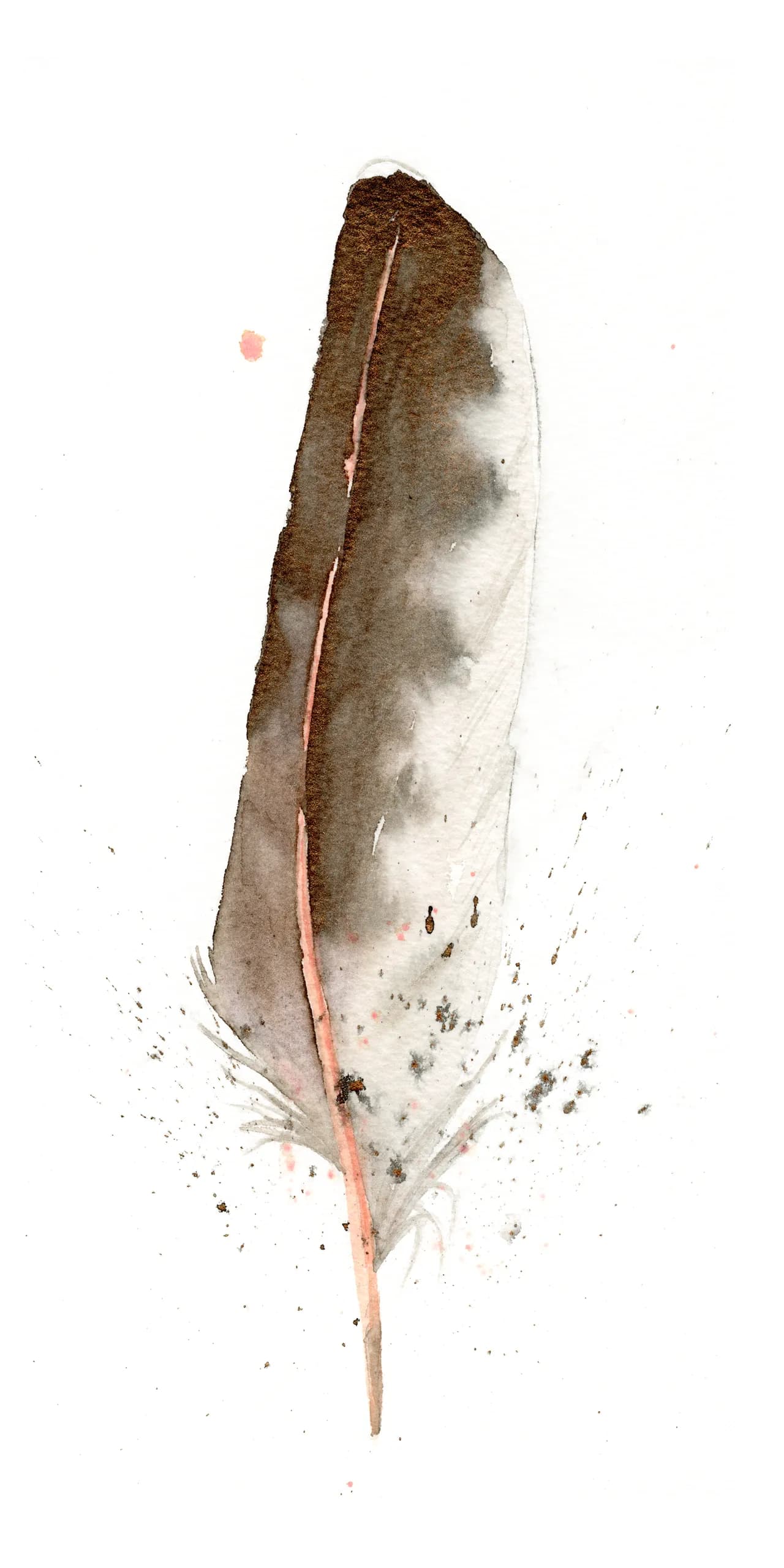Northern Flicker Adult Red Shafted — watercolor by Shayna Larsen