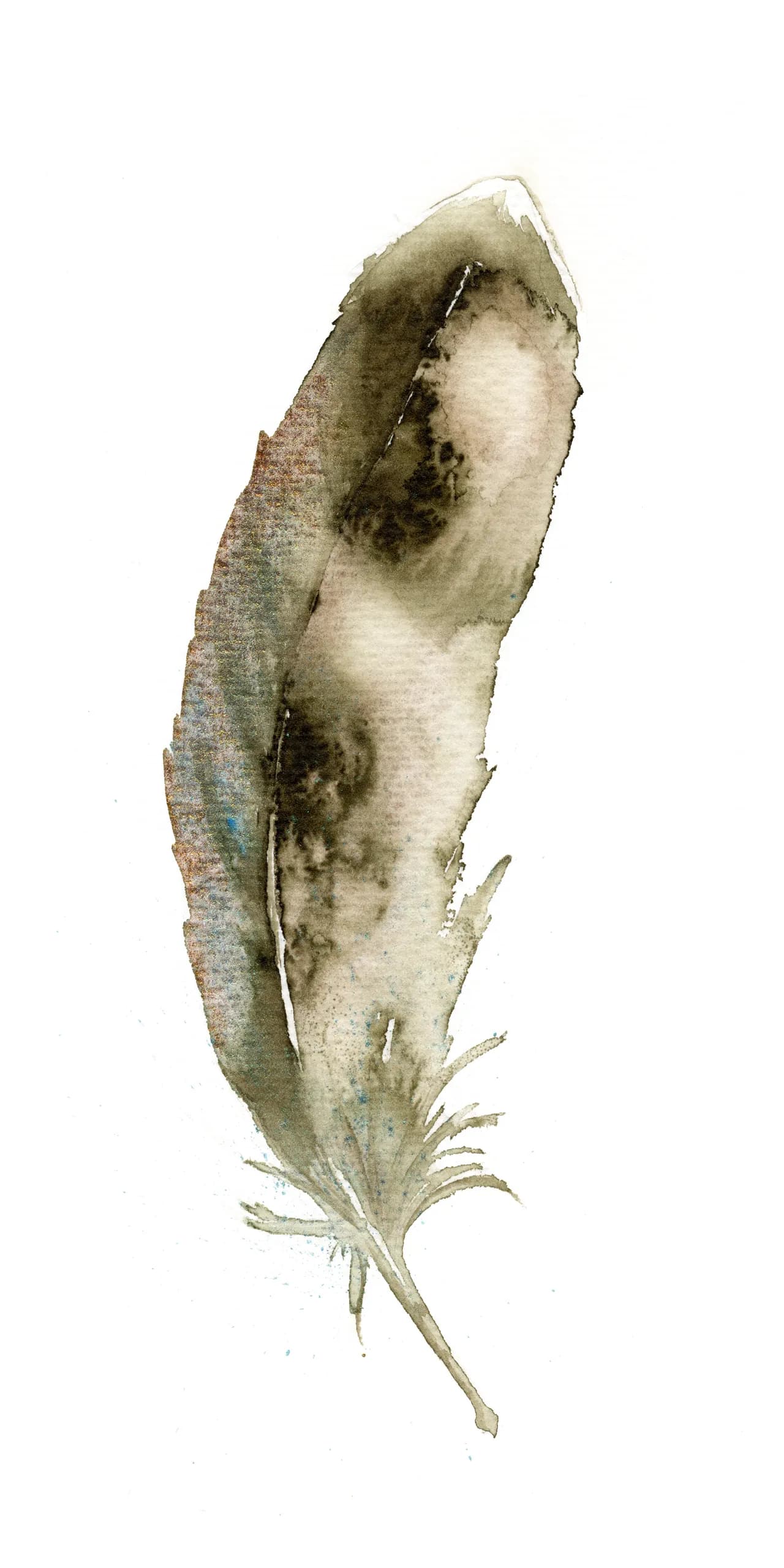 Wild Duck — watercolor by Shayna Larsen