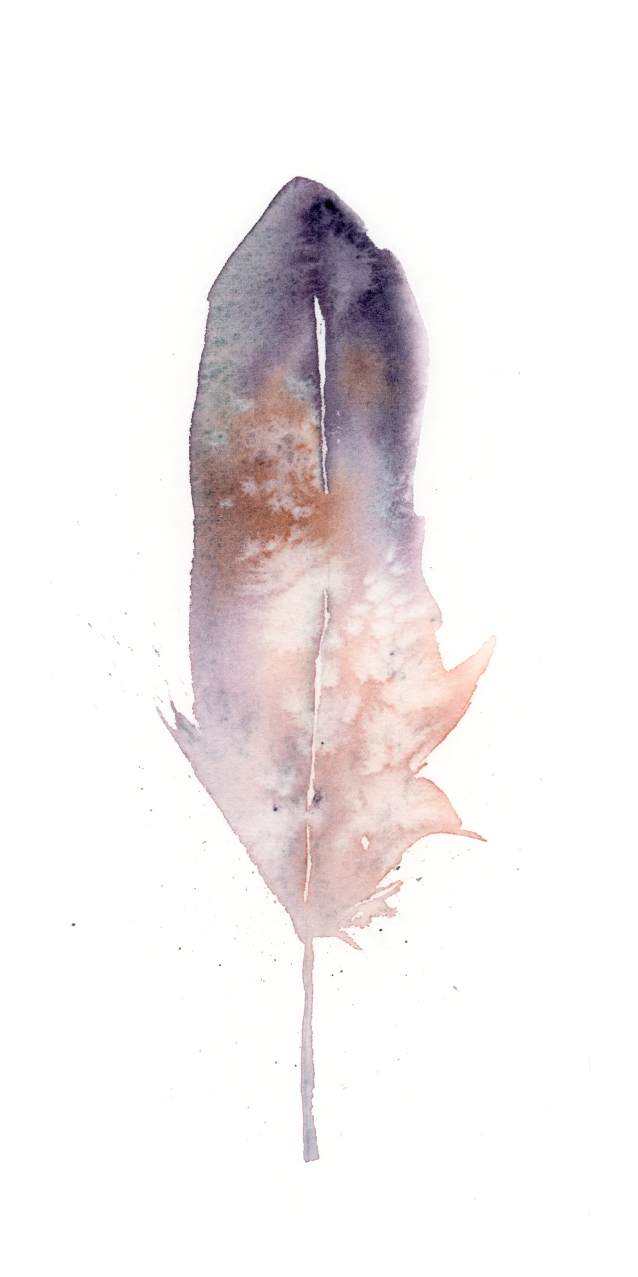 American Bittern — watercolor by Shayna Larsen