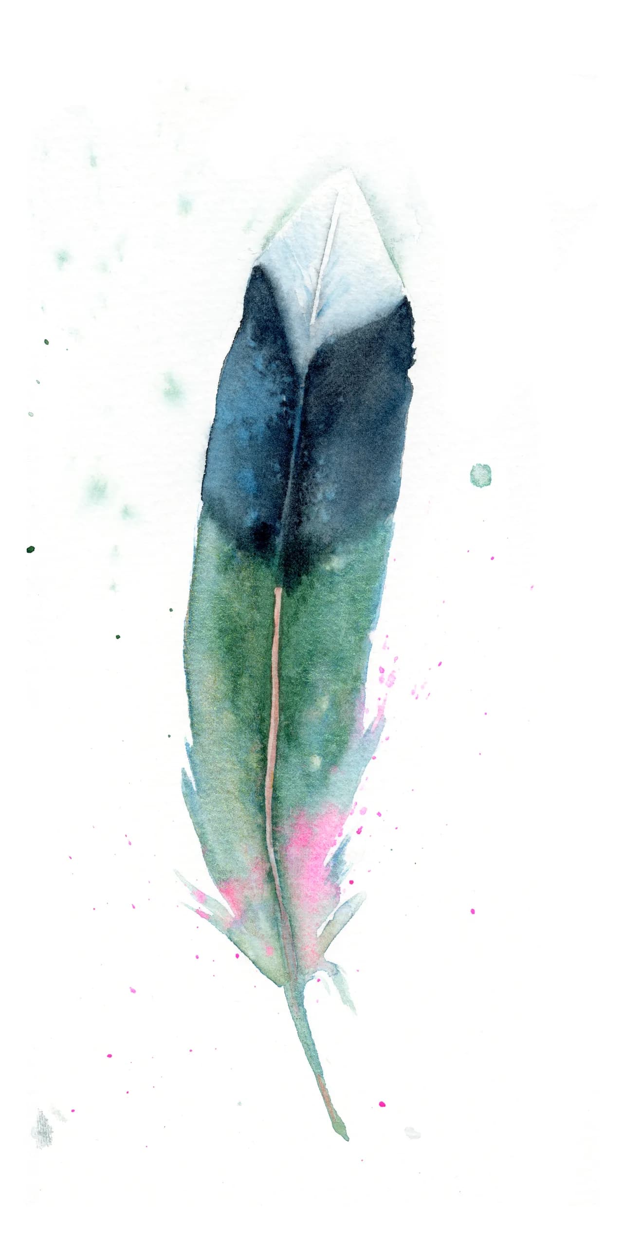 Mallard — watercolor by Shayna Larsen