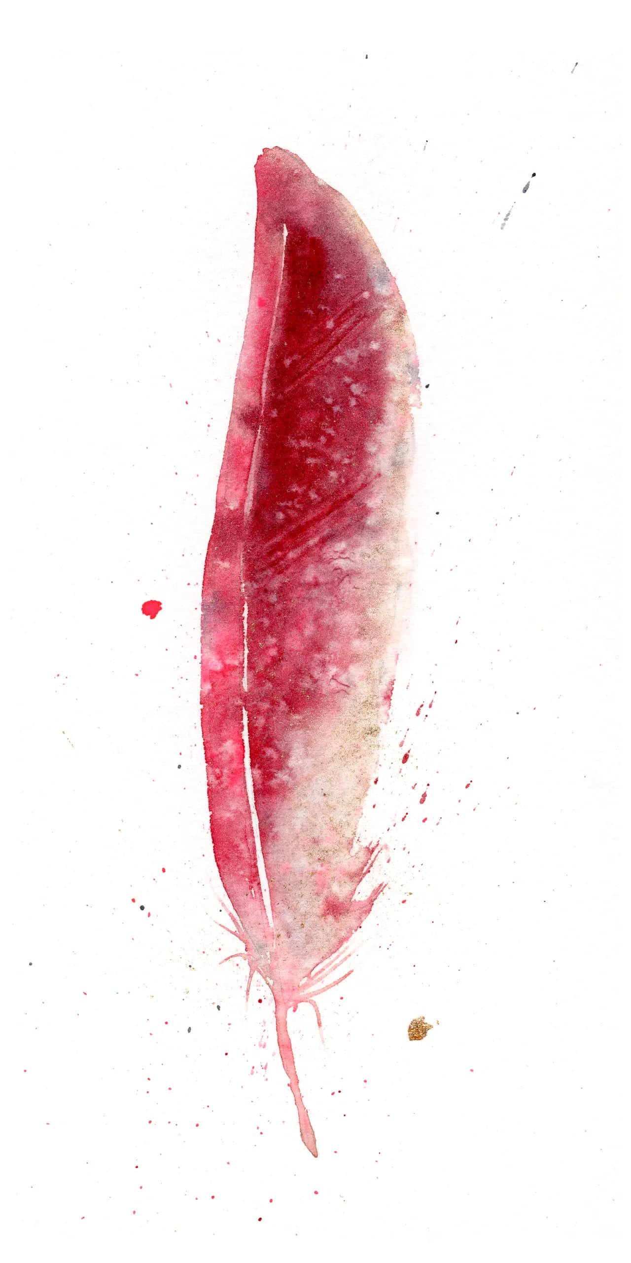 Cardinal — watercolor by Shayna Larsen