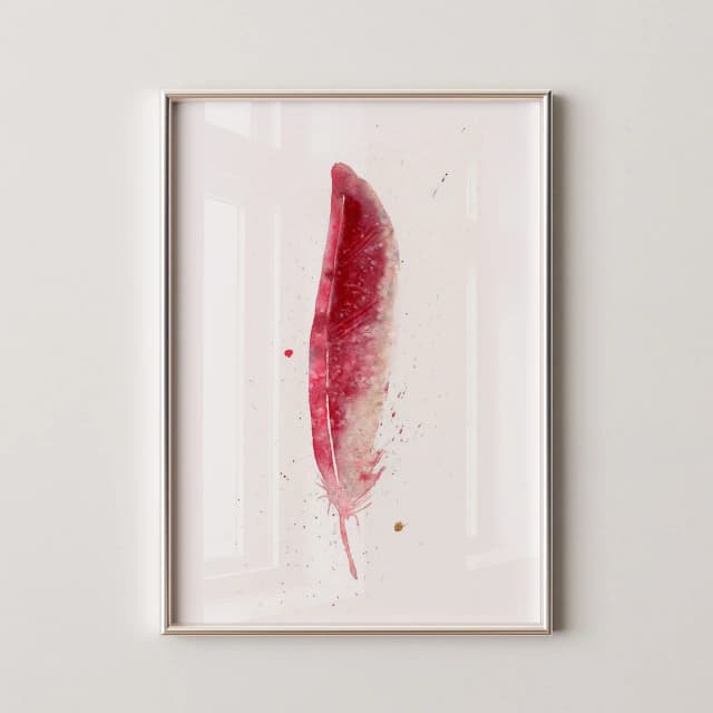 Cardinal shown in a room setting