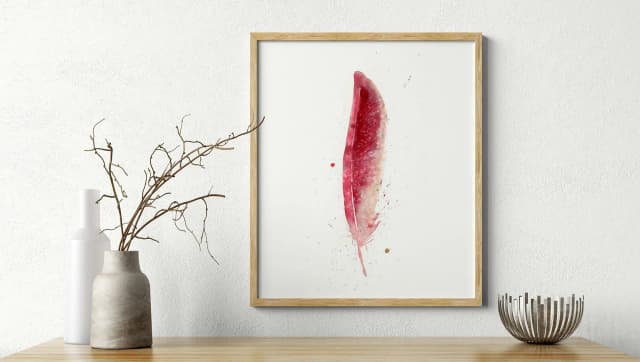 Cardinal shown in a room setting