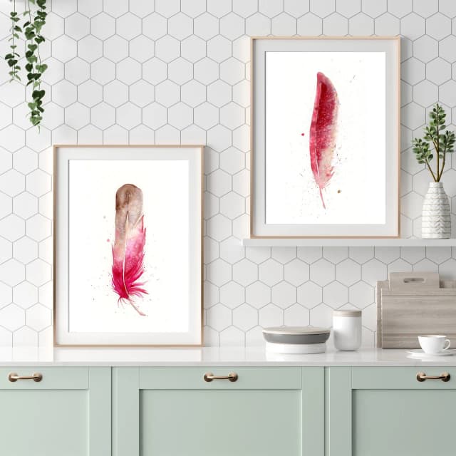 Cardinal shown in a room setting