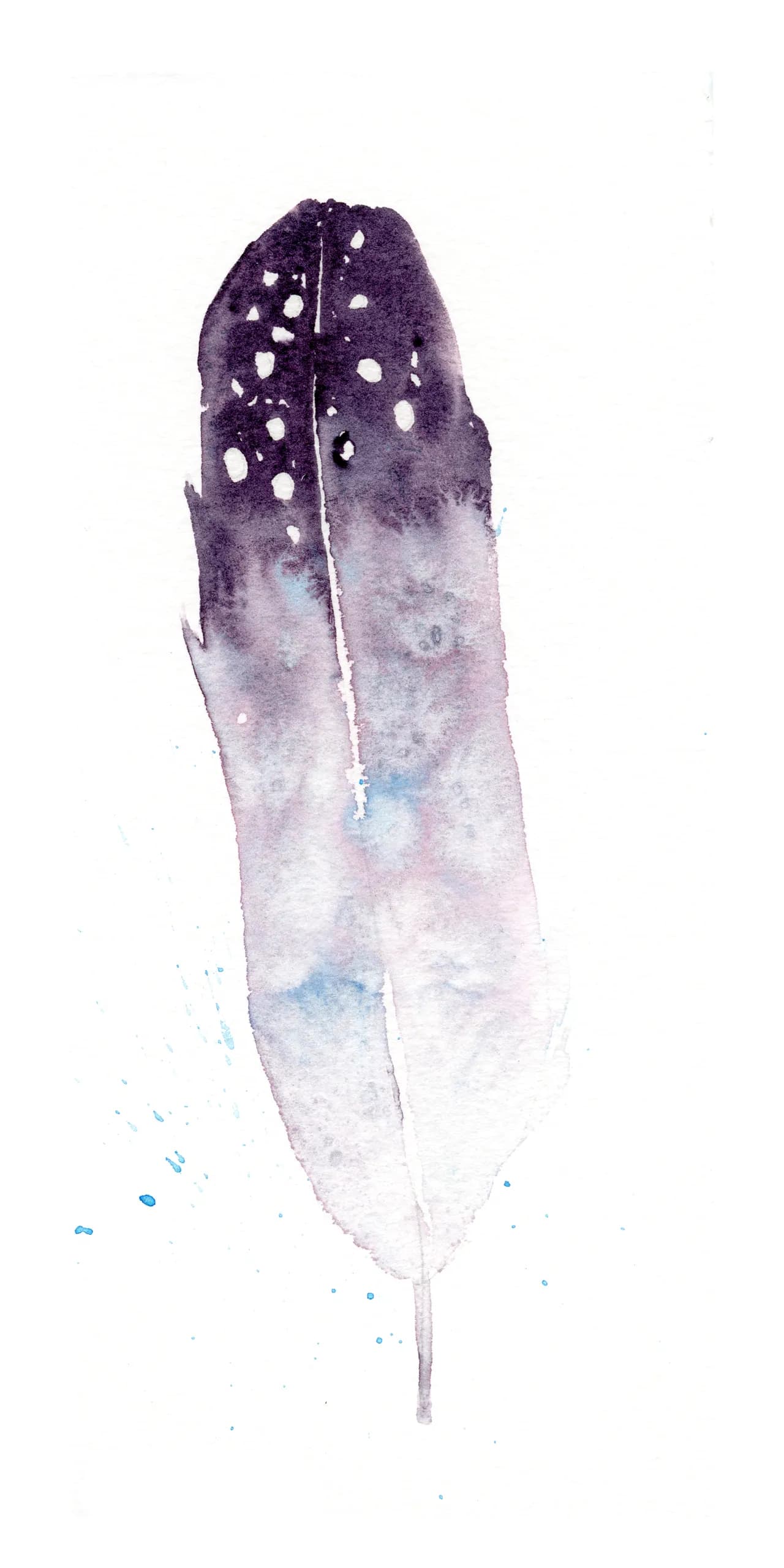 Common Raven — watercolor by Shayna Larsen