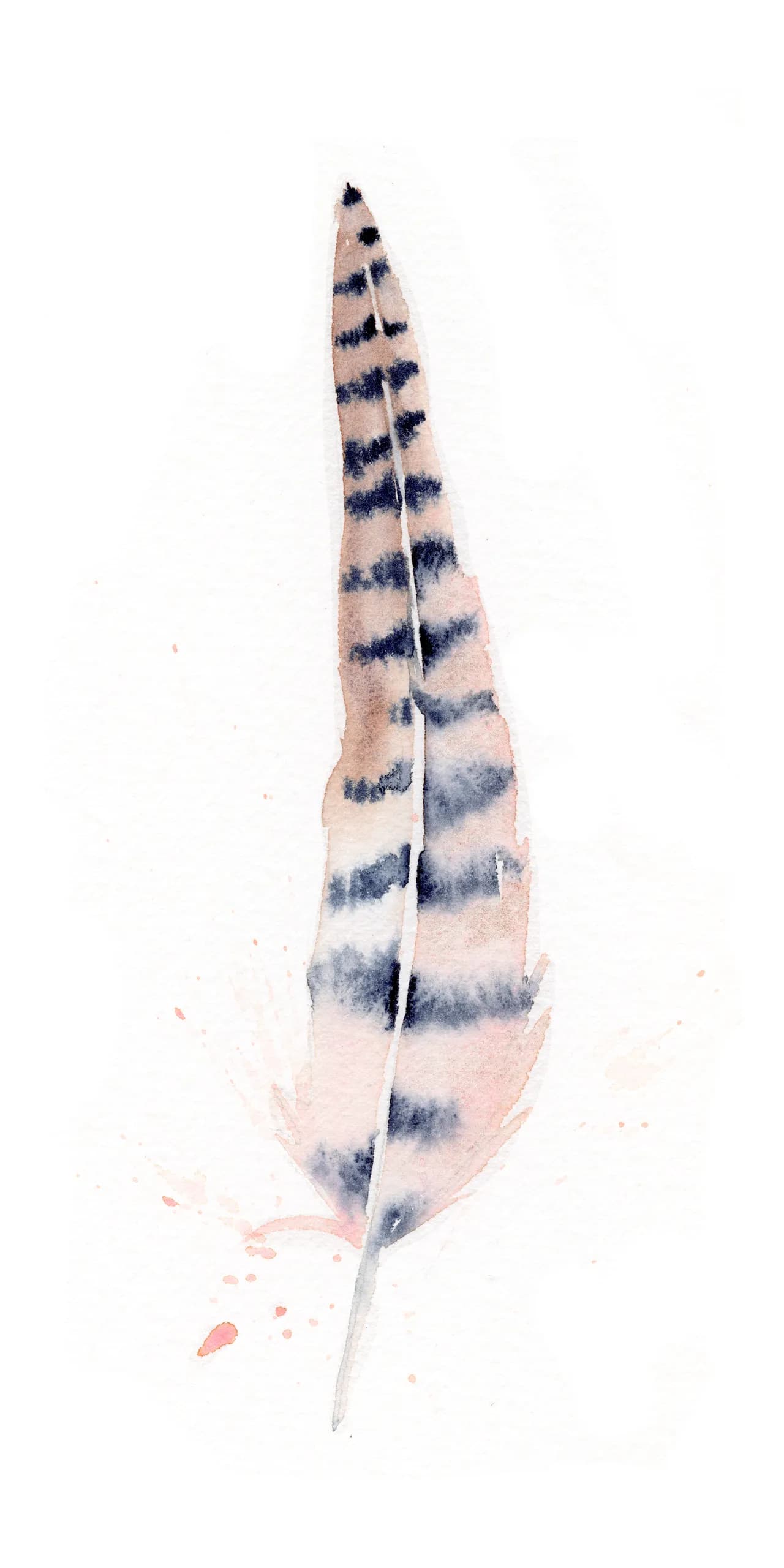 Pheasant — watercolor by Shayna Larsen