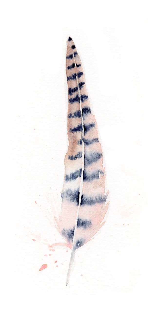 Pheasant — watercolor by Shayna Larsen