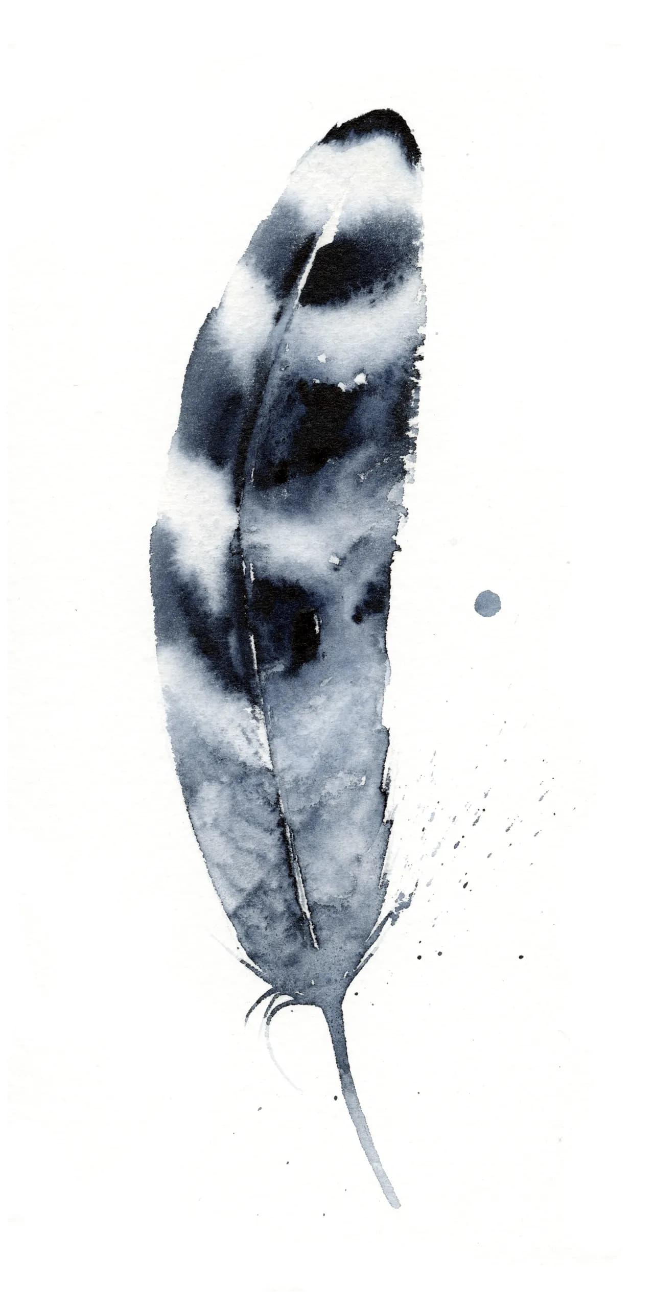 Hawk — watercolor by Shayna Larsen