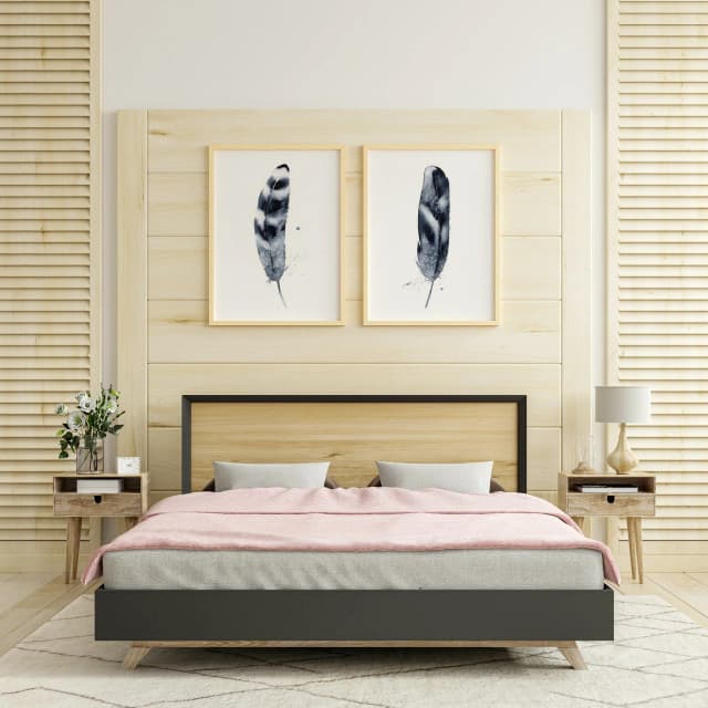 Hawk shown in a room setting