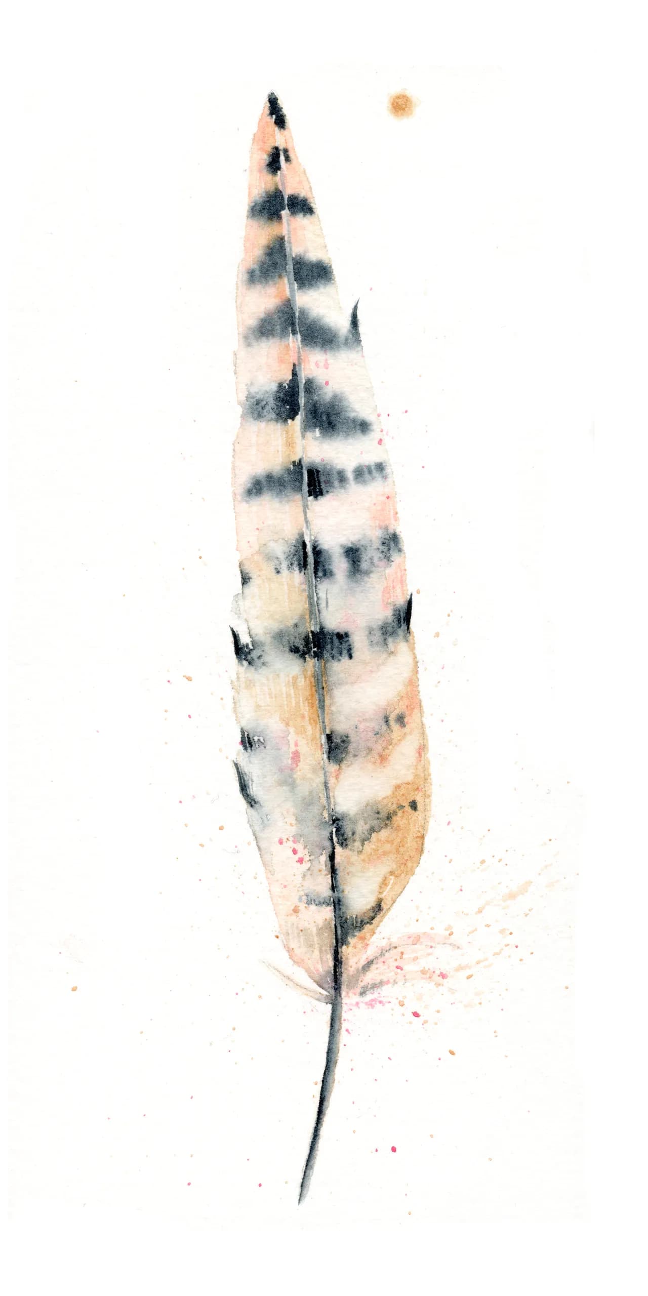 Pheasant — watercolor by Shayna Larsen