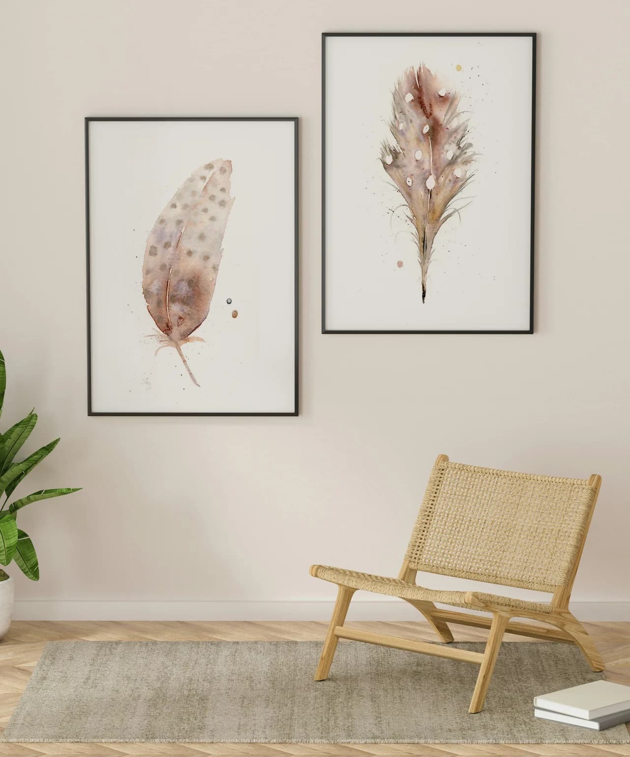 Spotted Towhee shown in a room setting