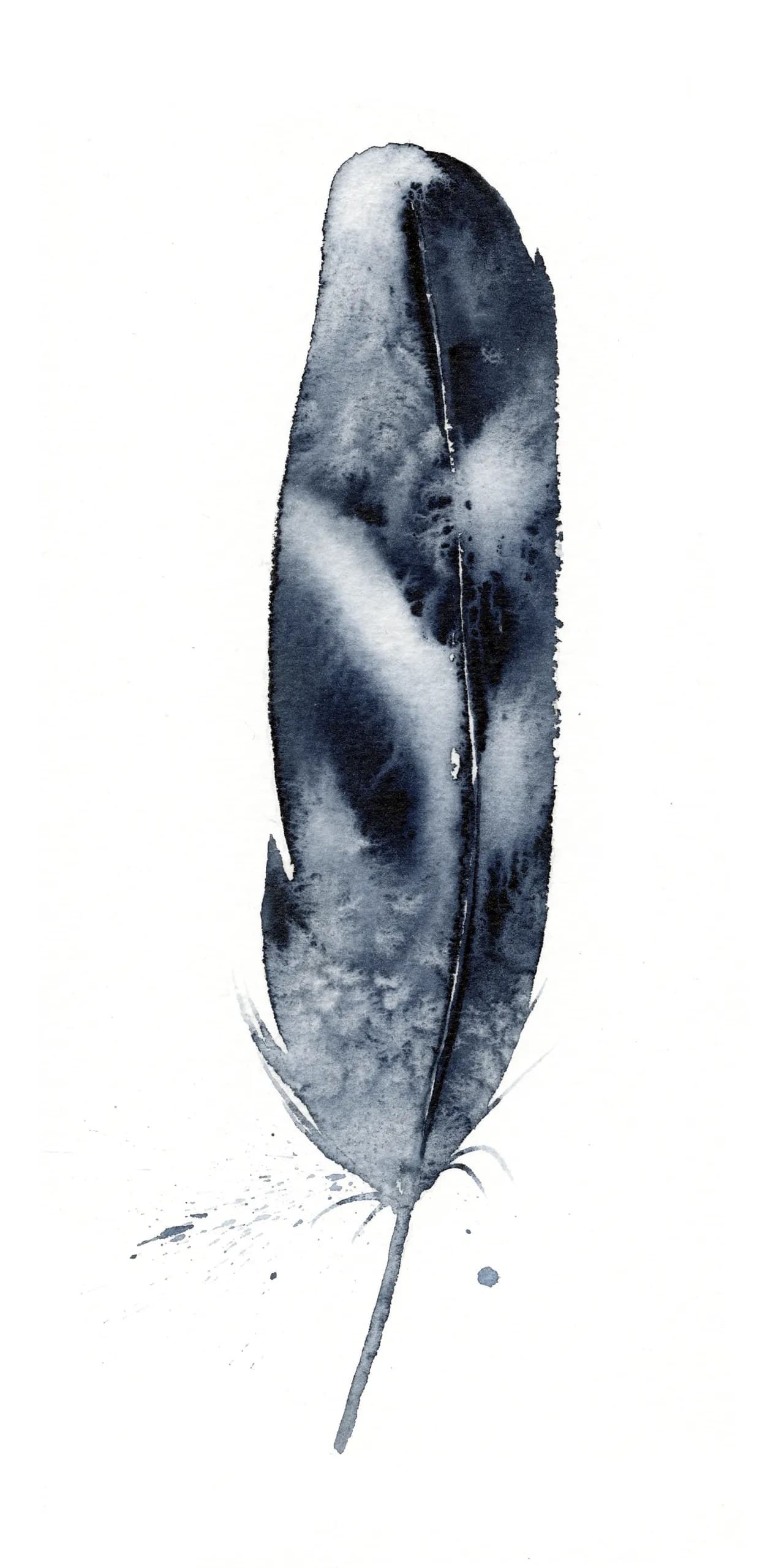 Hawk — watercolor by Shayna Larsen