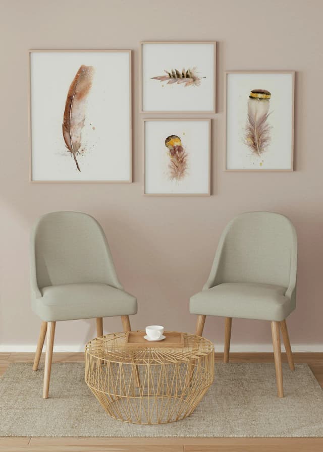 American Robin - Male shown in a room setting