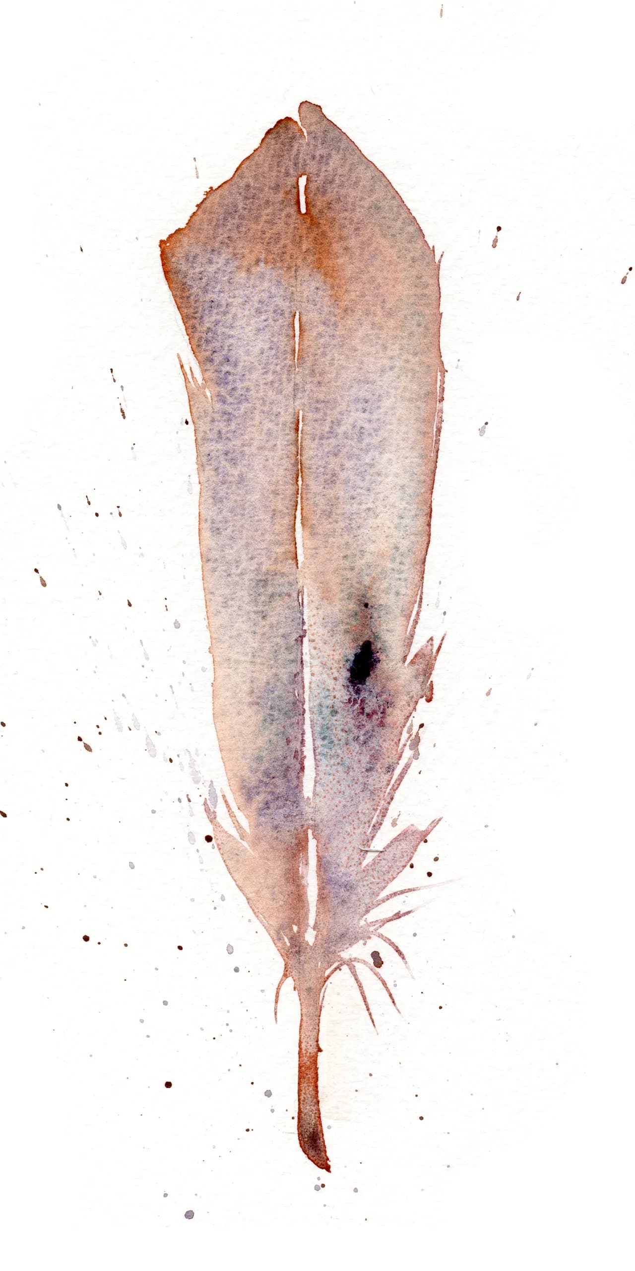 Barn Owl — watercolor by Shayna Larsen