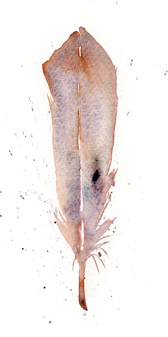 Barn Owl — watercolor by Shayna Larsen