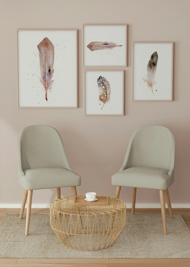 Barn Owl shown in a room setting