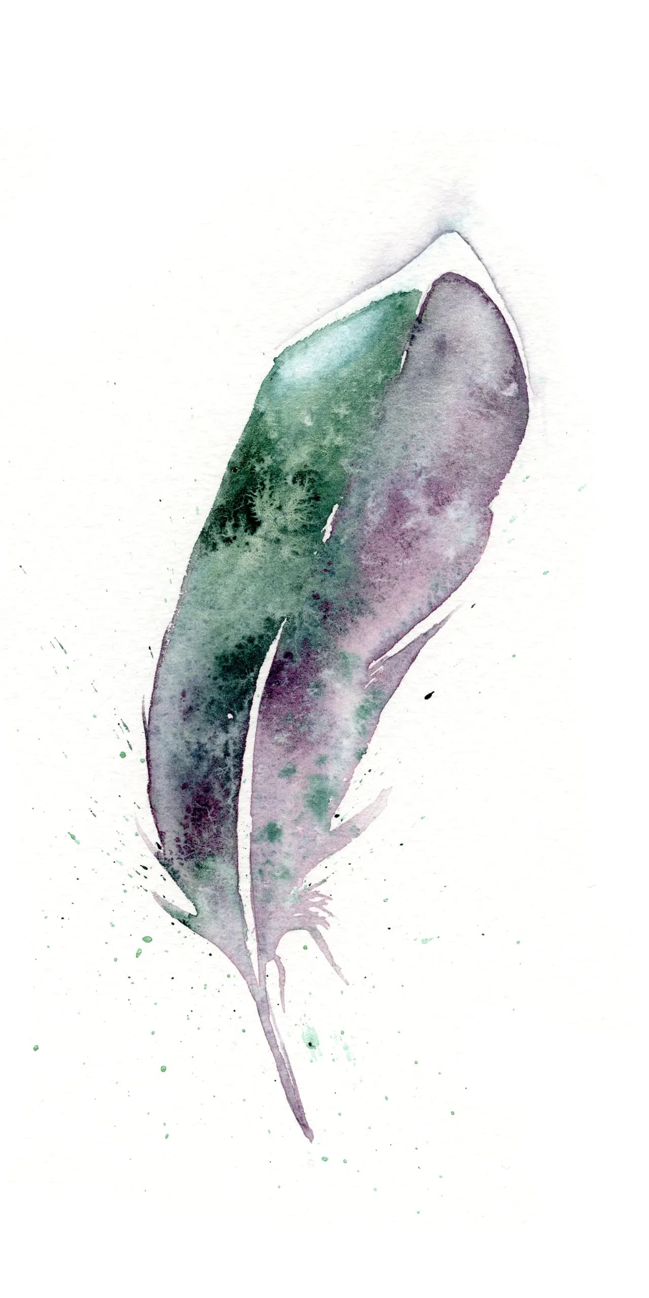 Green-Winged Teal Duck (male) — watercolor by Shayna Larsen