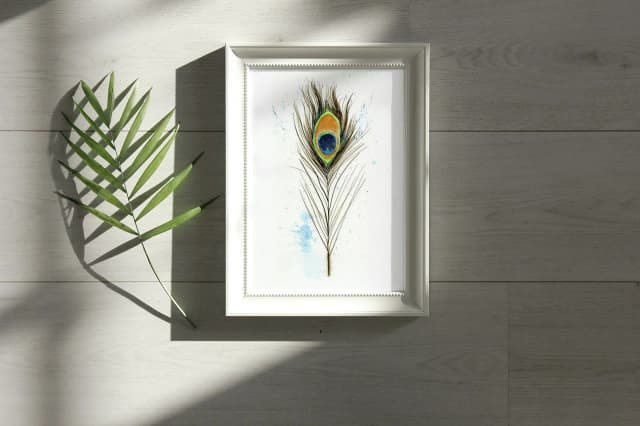 Peacock shown in a room setting