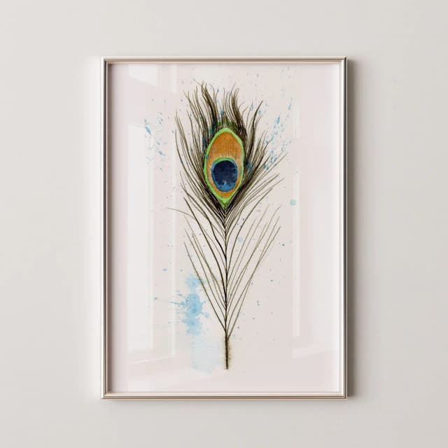 Peacock shown in a room setting