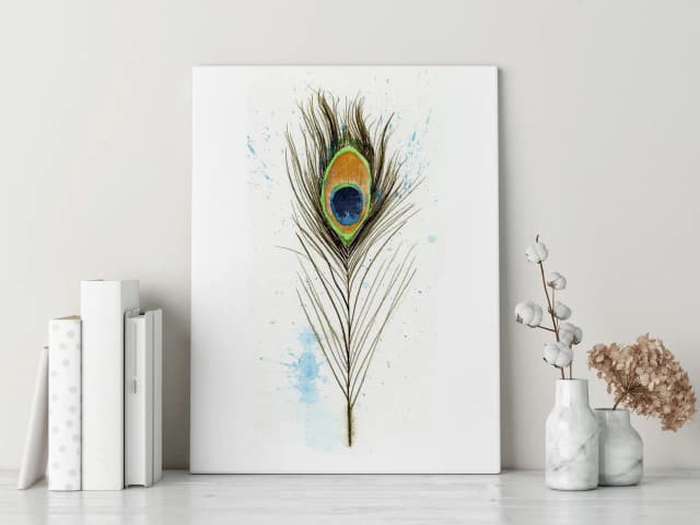 Peacock shown in a room setting
