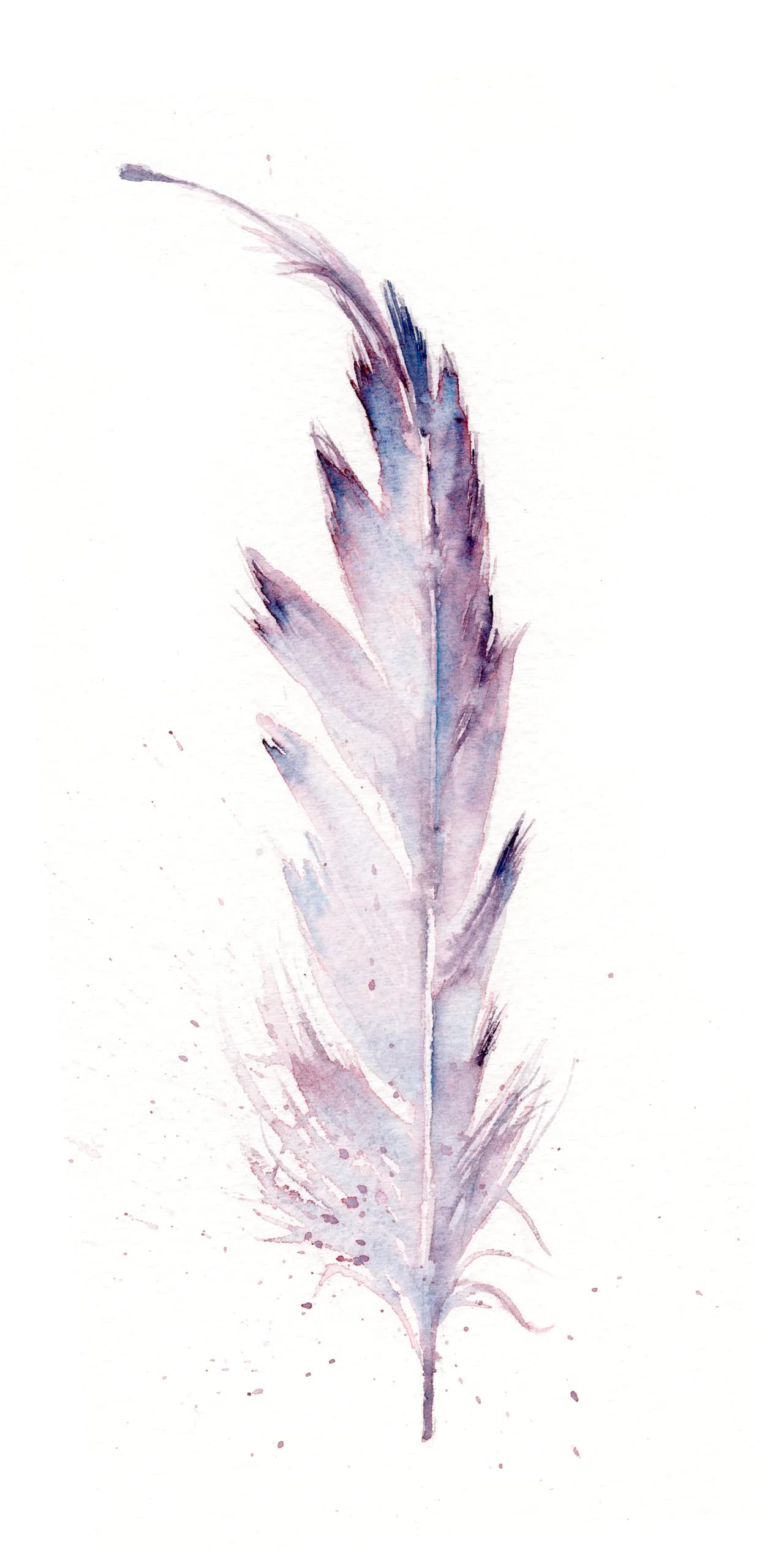 Barn Owl — watercolor by Shayna Larsen