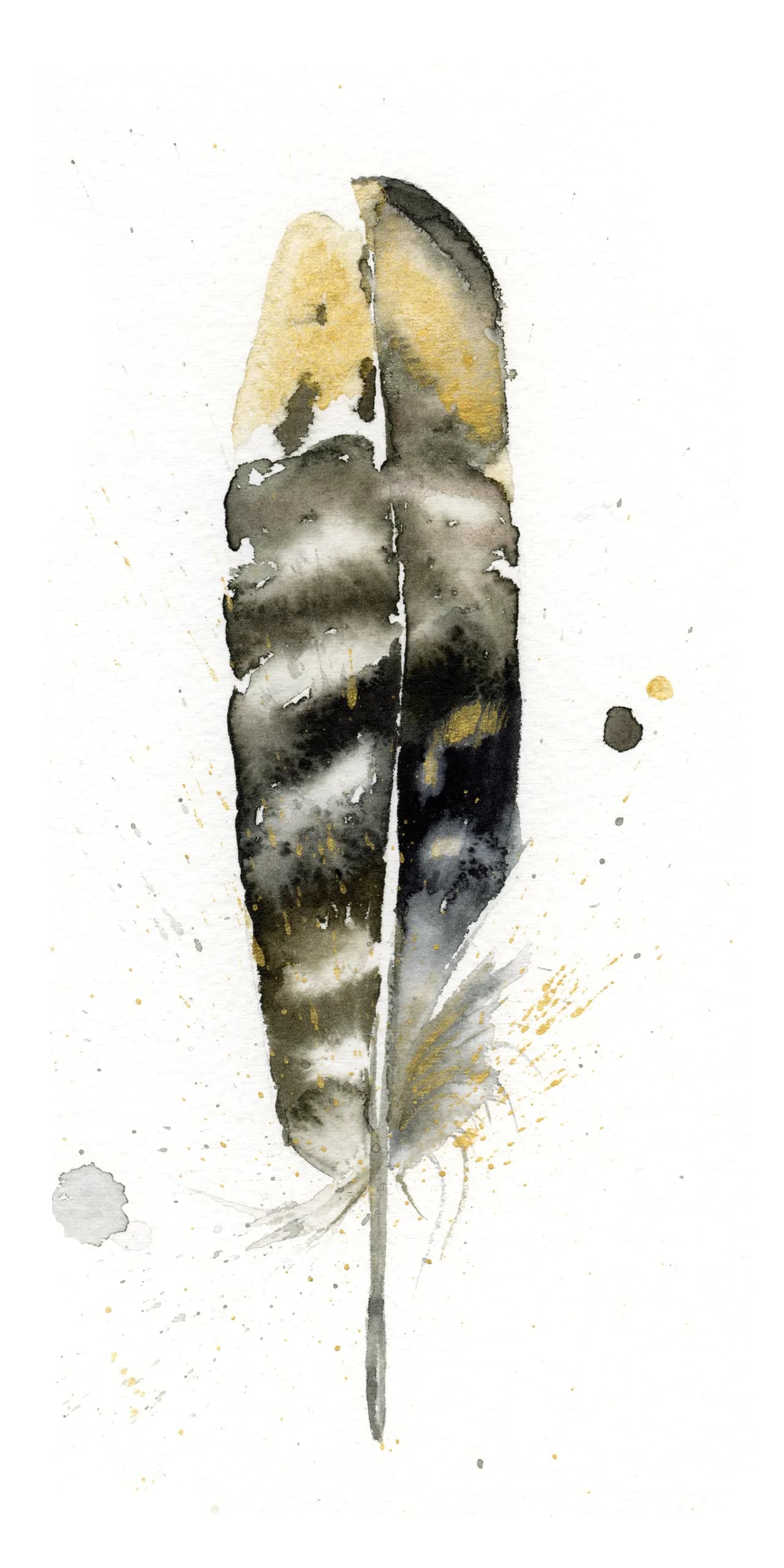 Pheasant — watercolor by Shayna Larsen