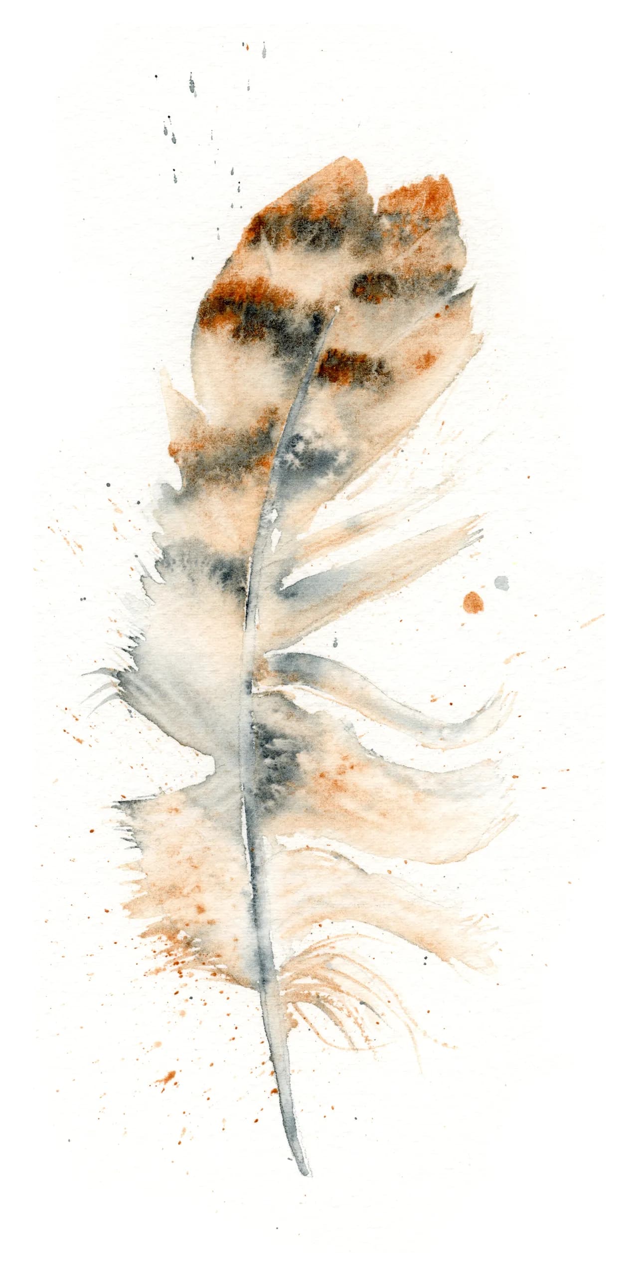 Barn Owl — watercolor by Shayna Larsen