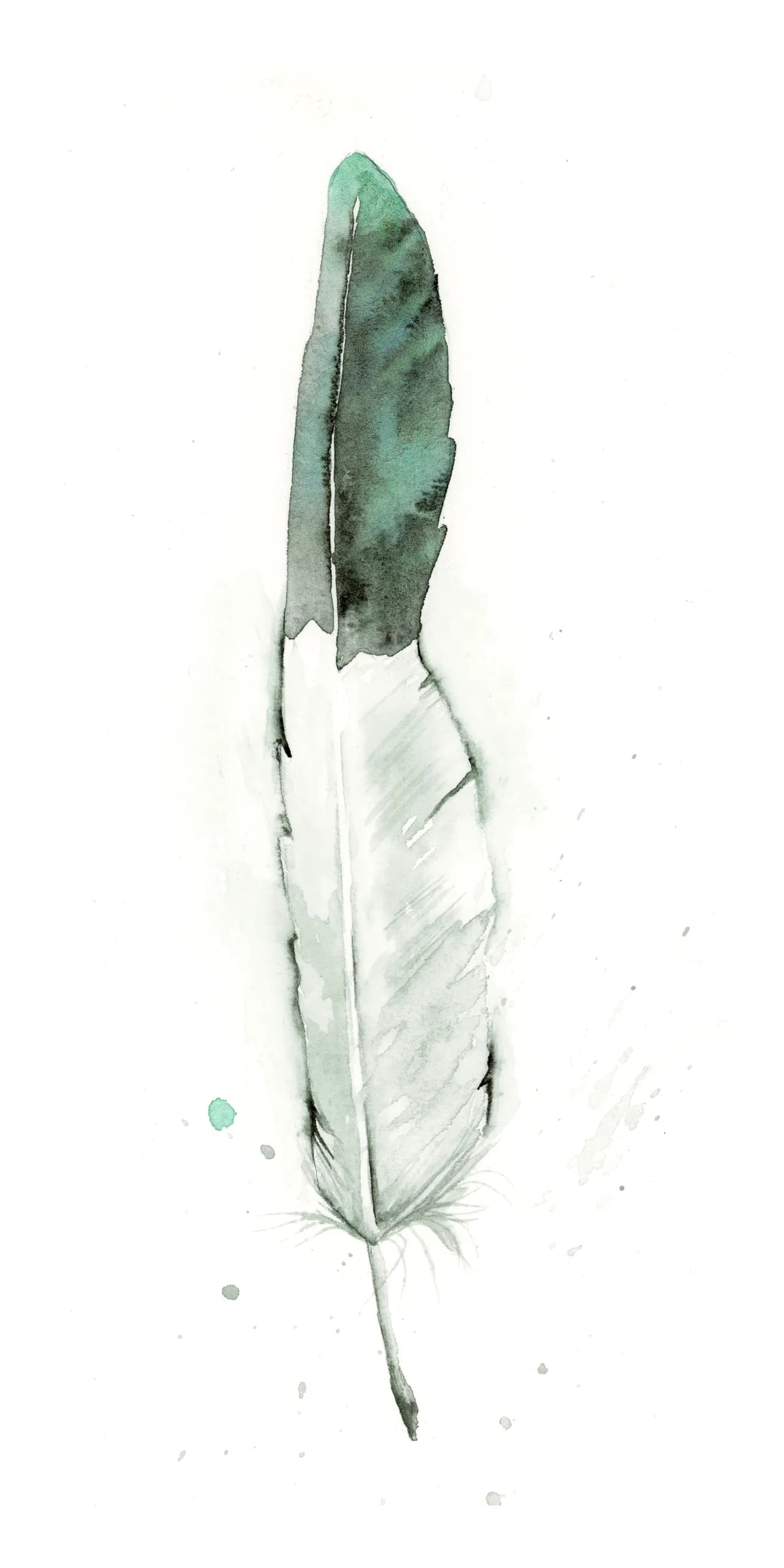 White Ibis — watercolor by Shayna Larsen