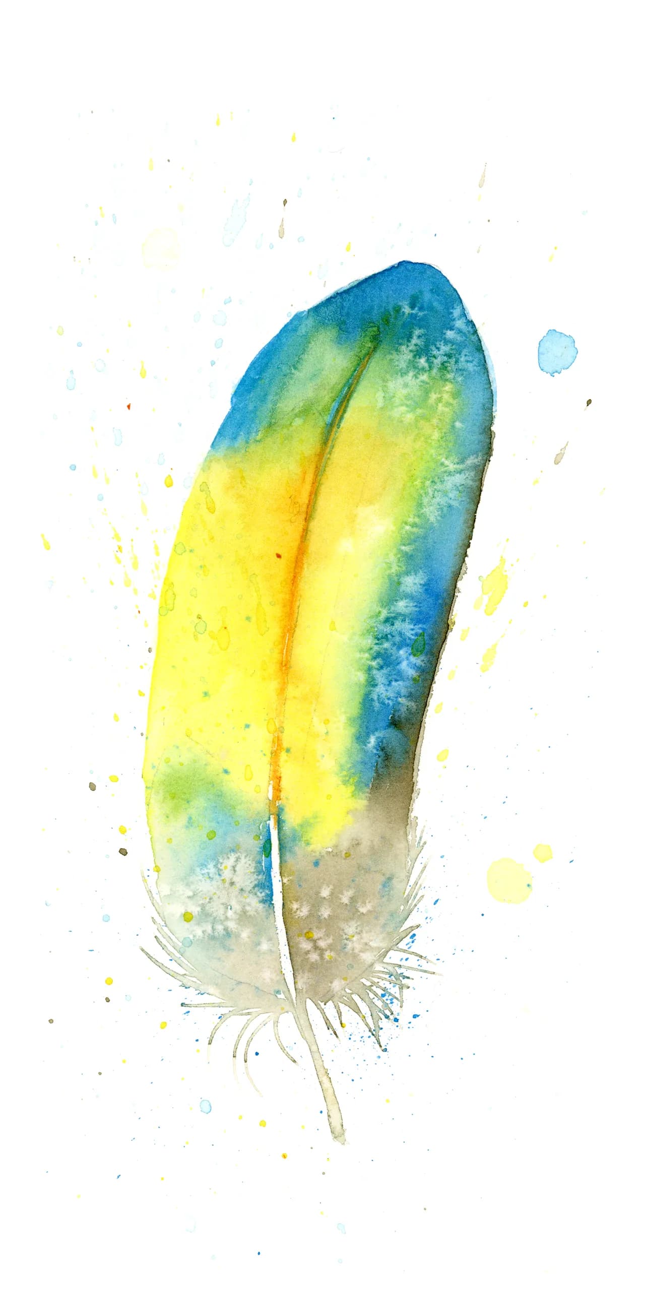 Blue-and-Yellow Macaw — watercolor by Shayna Larsen