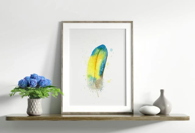 Blue-and-Yellow Macaw shown in a room setting