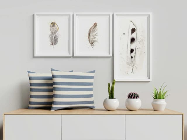 American Kestral shown in a room setting