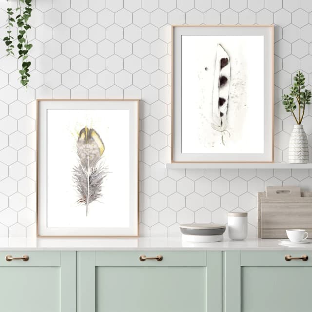American Kestral shown in a room setting