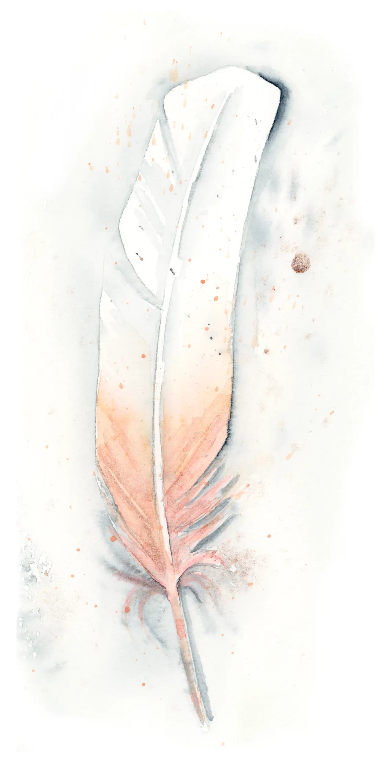 Roseate Spoonbill — watercolor by Shayna Larsen