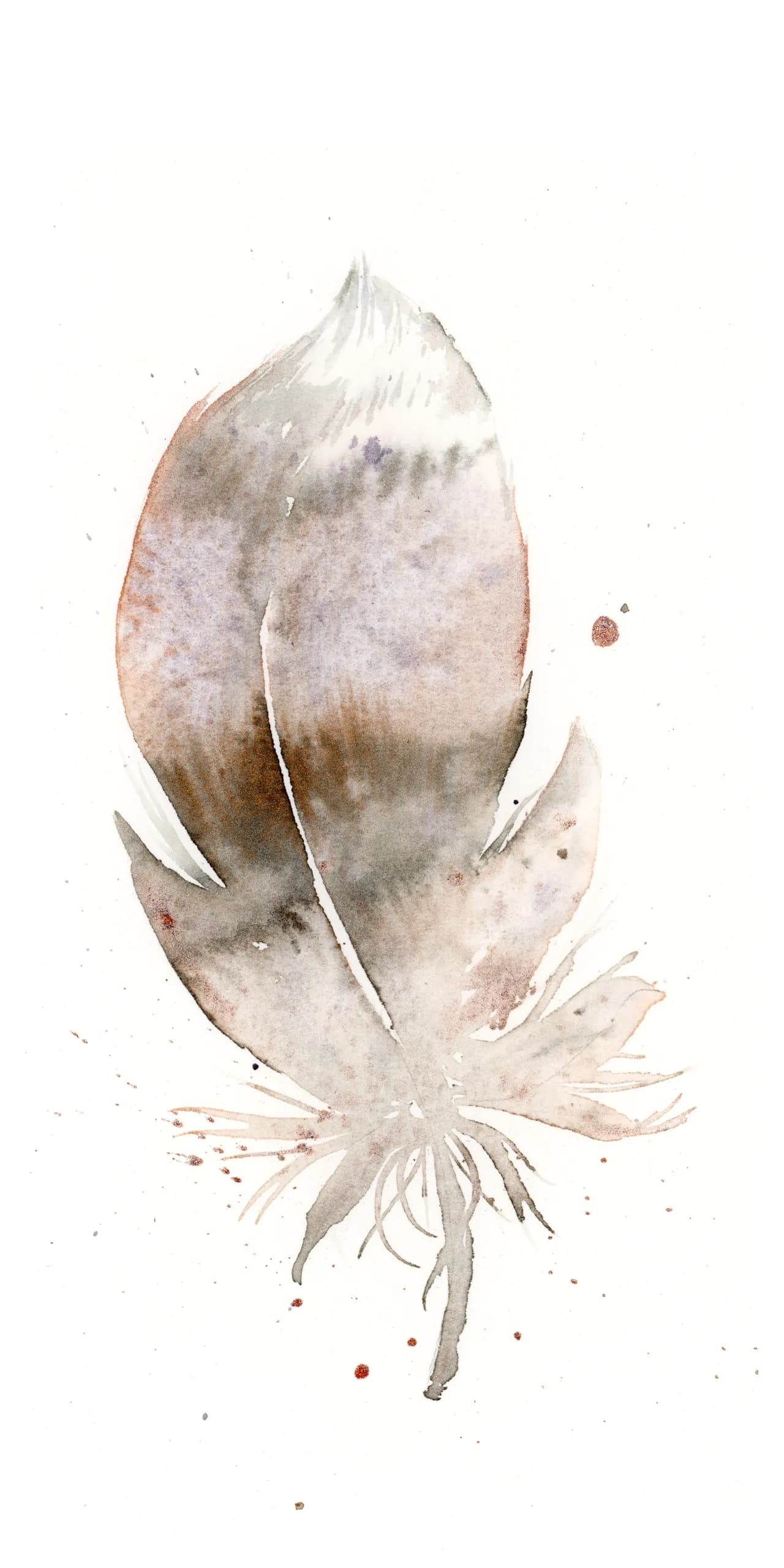 American Woodcock — watercolor by Shayna Larsen