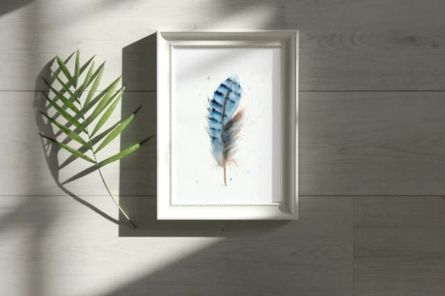 Blue Jay shown in a room setting