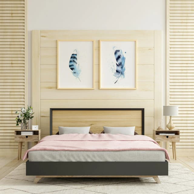 Blue Jay shown in a room setting